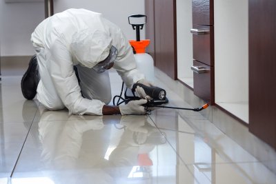 Ongedierte in huis